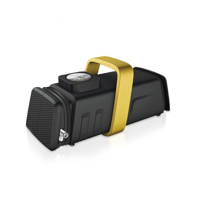 compressori d'aria del veicolo elettrico 200psi Dc12v Ac110v - 230v Mini Air Pump